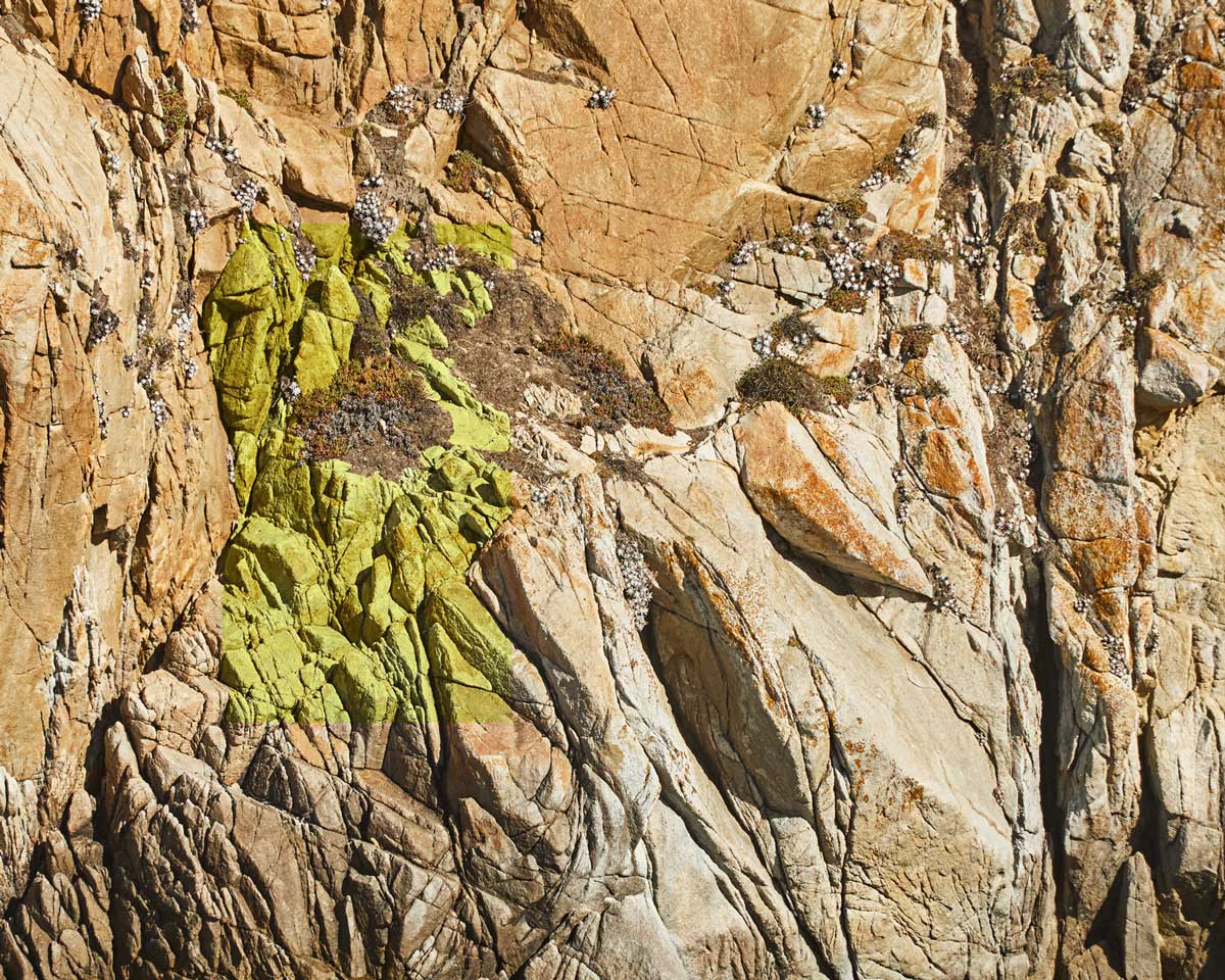 Does it all have to make sense